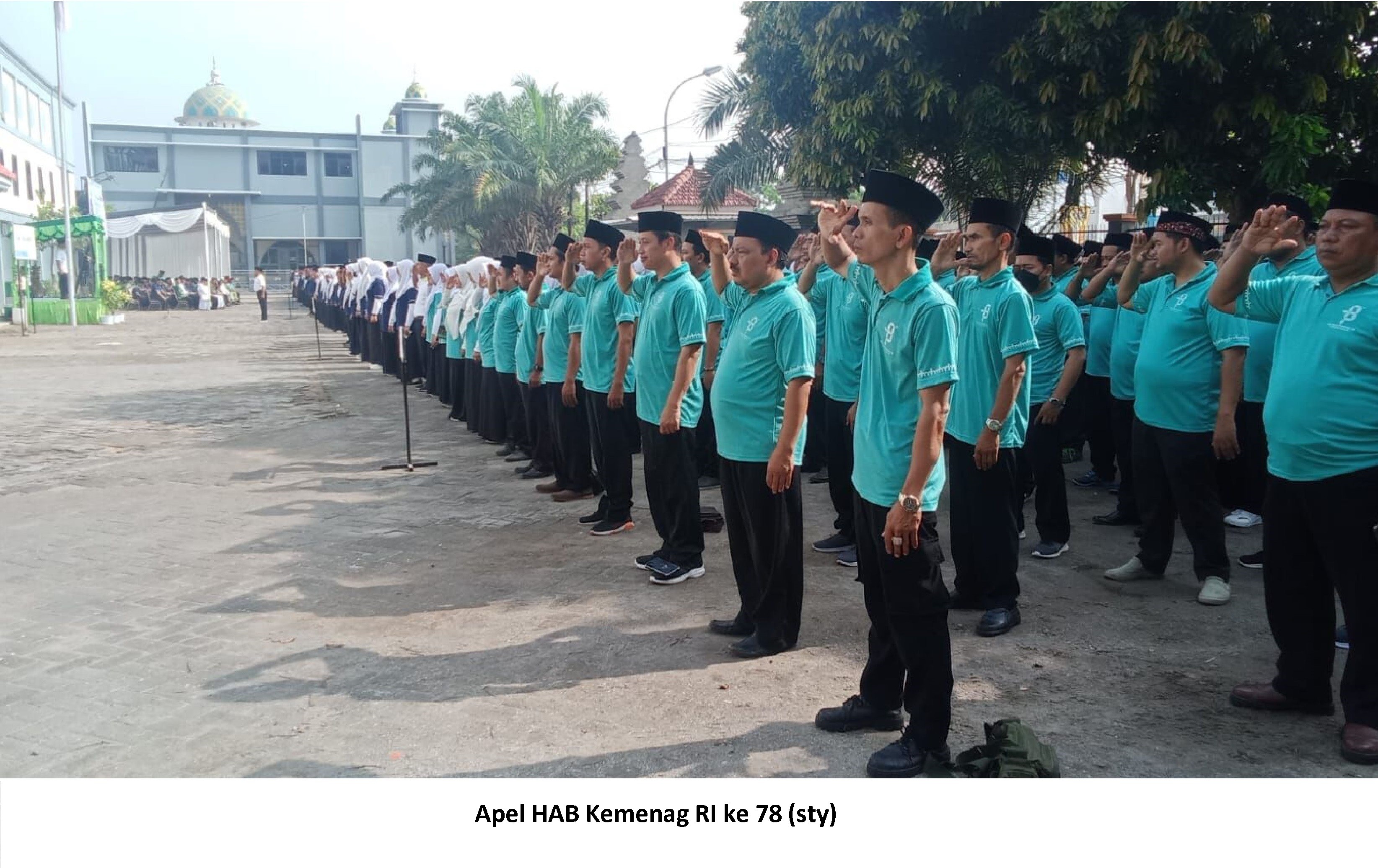 APEL_78.jpg